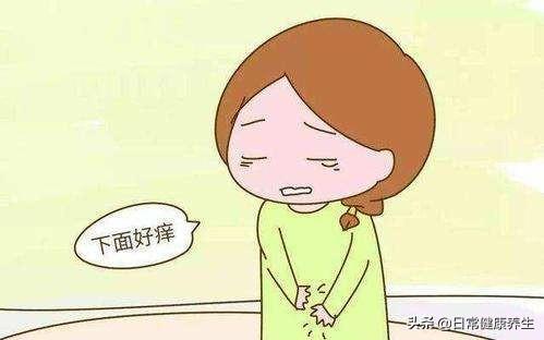 身为女人，你对自己的私密处了解多少?这些信号出现该注意了