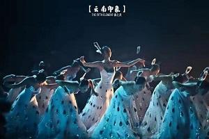 艺校女生被杨丽萍看中,多次询问基本信息,在线挑舞蹈苗苗看傻网友