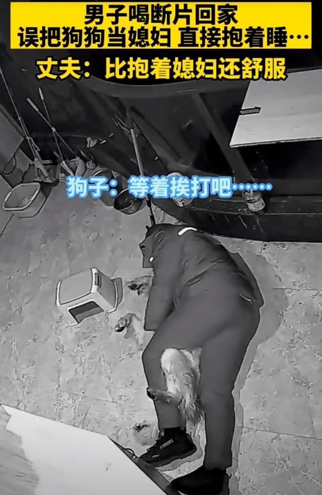 绝了！青田男子喝断片，把狗当老婆抱着睡，还动手动脚