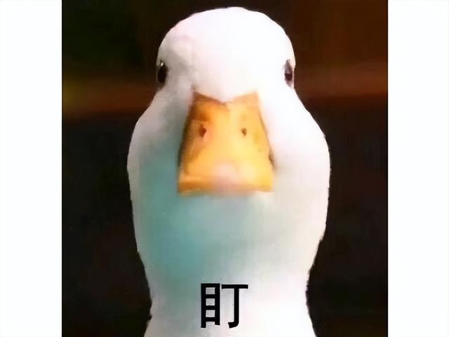 俄罗斯丧尸游戏再翻车？宣传片抄COD，网友：4年就做个屁股！