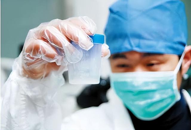 进入女性体内后，结合失败的精子都去哪里了？既心疼又好笑