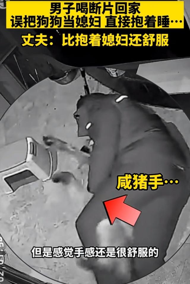 绝了！青田男子喝断片，把狗当老婆抱着睡，还动手动脚