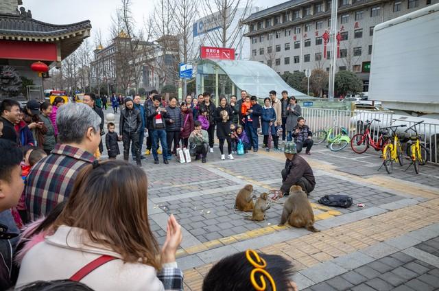 两个女人的战争