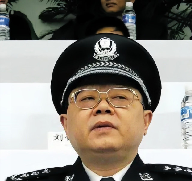 重庆司法局局长文强：霸占女警花十年，还与12位女明星有染