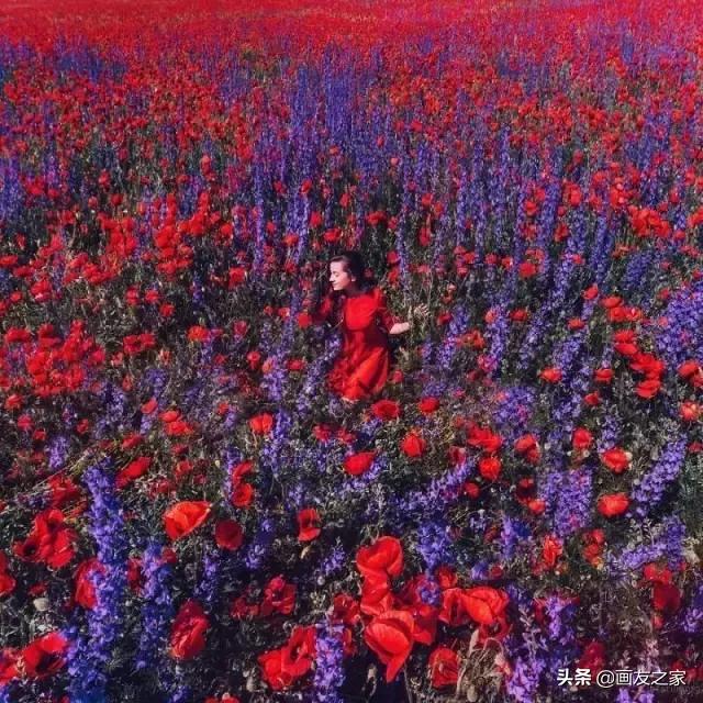 美景、美衣、美女