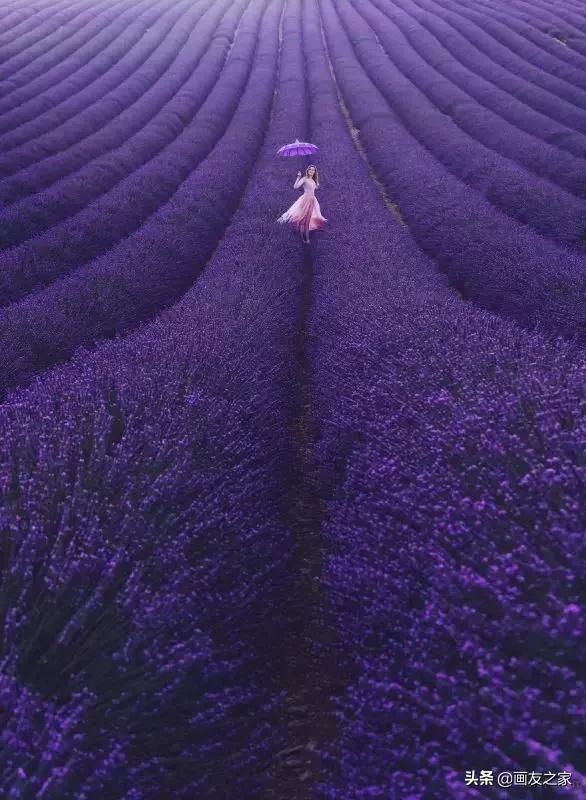 美景、美衣、美女