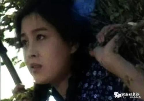 赵明明主演——《女人不是月亮》