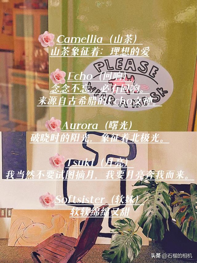好听小众的英文名字合集#英文名 #好听 #温柔 #有寓意的英文名