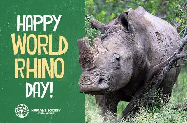 为了偷拍明星母子，她全身涂尿抹粪，却赢得了尊重！