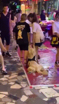 搞笑GIF动图,美女这么调皮的跟我打招呼,是不是对我有意思啊?