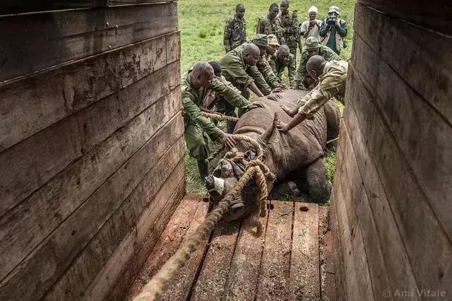 为了偷拍明星母子，她全身涂尿抹粪，却赢得了尊重！