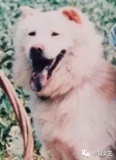 《暖春》播出十年后，爷孙首聚！这些故事鲜为人知