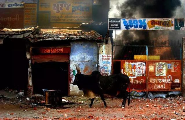 为了偷拍明星母子，她全身涂尿抹粪，却赢得了尊重！