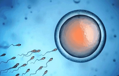 女性最佳生育年龄是多少?