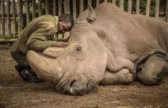 为了偷拍明星母子，她全身涂尿抹粪，却赢得了尊重！