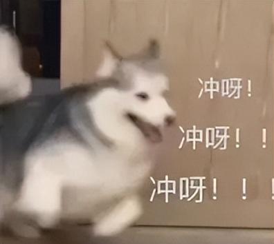 别等了，这就是今年最值得买的小屏旗舰