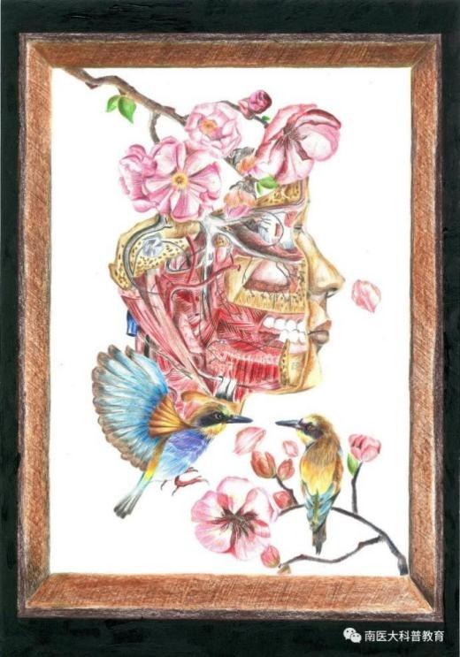 灵魂画手！广东医学生的人体解剖图“走红”网络，栩栩如生，堪比印刷！