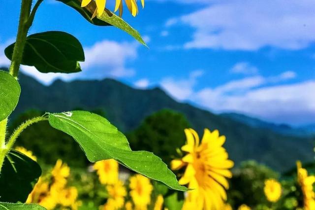 有这些特征的女人，真的会幸福