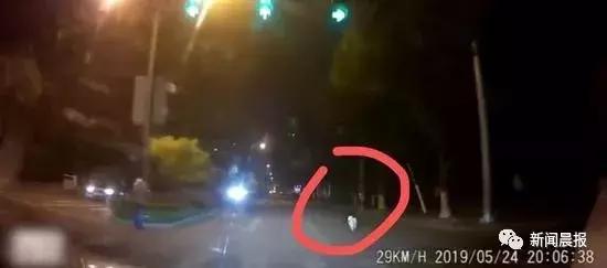 女子遛3只狗不牵绳！男子遭狗撕咬下体受伤严重，缝了30多针