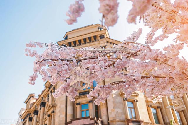 中国美女“最多”的三座城市,可能就有的家乡!