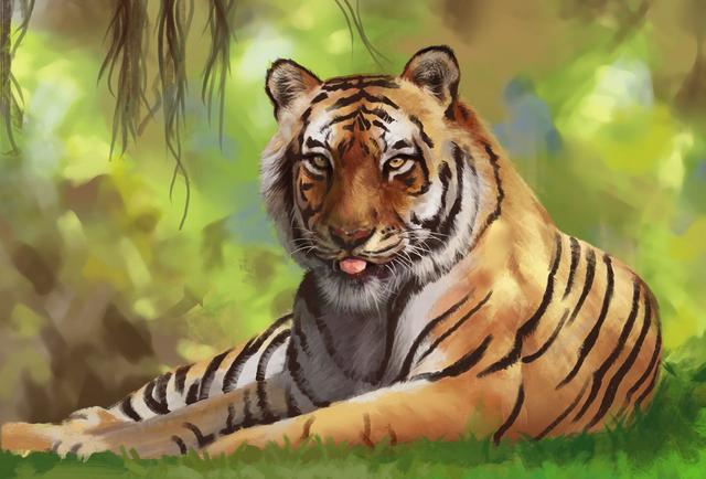 民间故事：山下的女人是老虎