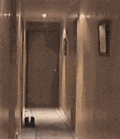 搞笑GIF动图,美女这么调皮的跟我打招呼,是不是对我有意思啊?