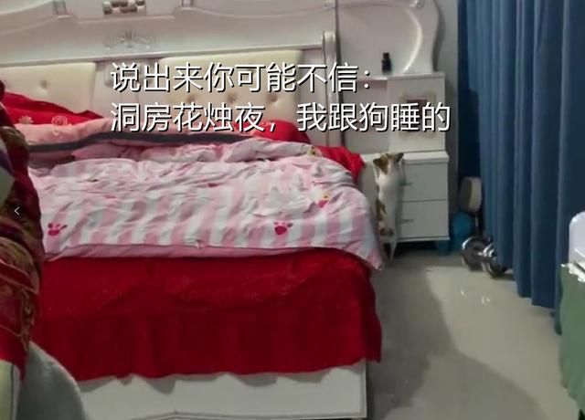 “洞房花烛夜,我和狗睡的”,新郎结完婚把新娘忘在酒店