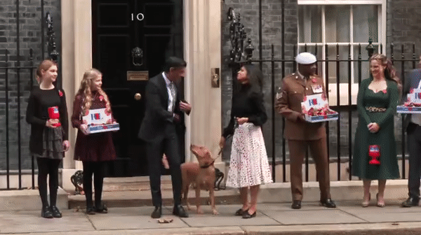 苏纳克与妻子牵狗亮相唐宁街,首相看42岁富豪妻子眼神宠溺