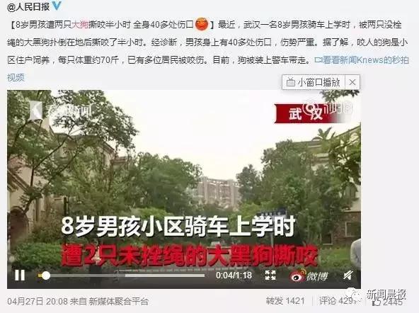 女子遛3只狗不牵绳！男子遭狗撕咬下体受伤严重，缝了30多针