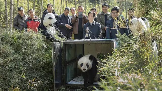 为了偷拍明星母子，她全身涂尿抹粪，却赢得了尊重！