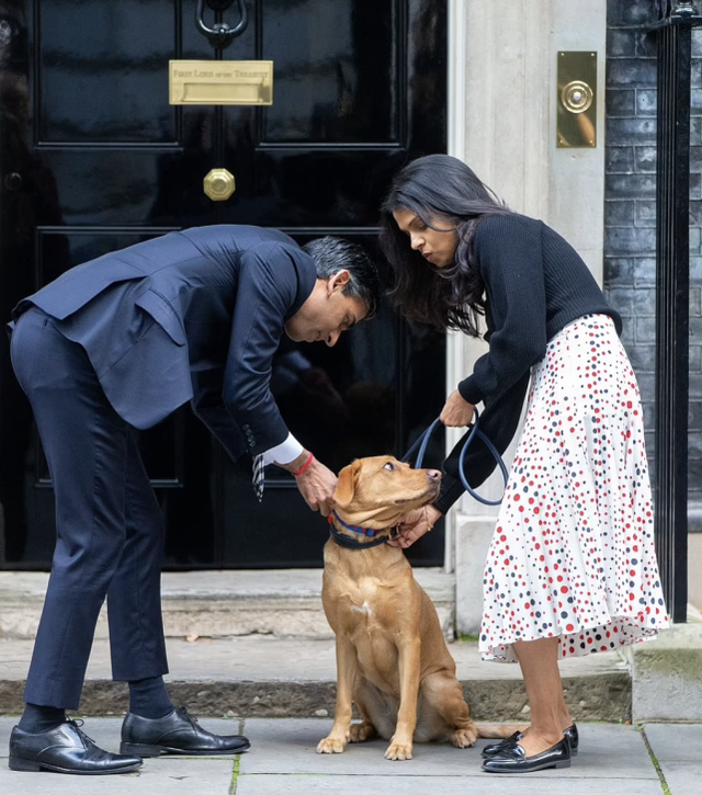 苏纳克与妻子牵狗亮相唐宁街,首相看42岁富豪妻子眼神宠溺