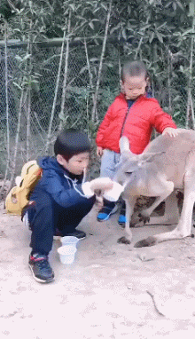 搞笑GIF动图,美女这么调皮的跟我打招呼,是不是对我有意思啊?