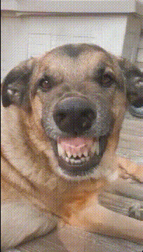 搞笑GIF动图,美女这么调皮的跟我打招呼,是不是对我有意思啊?