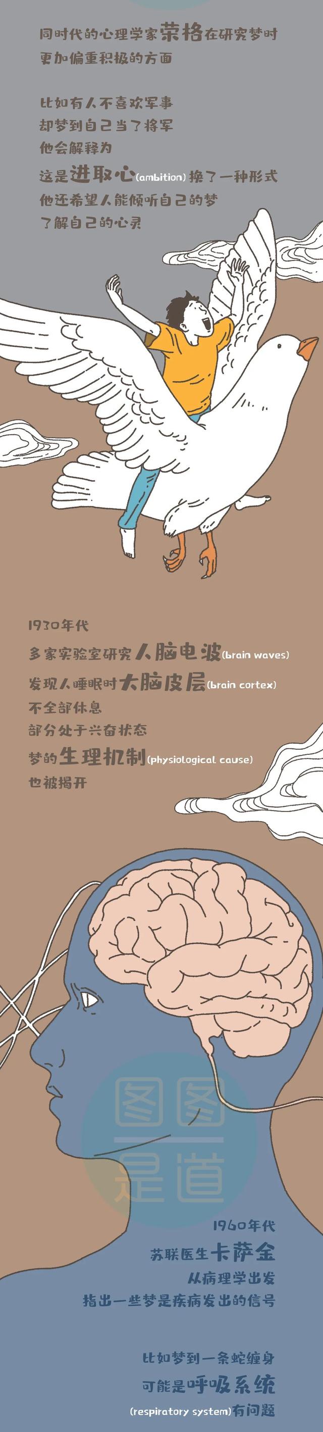 科普丨梦到从高空坠落、蛇缠身...请警惕自己的身体