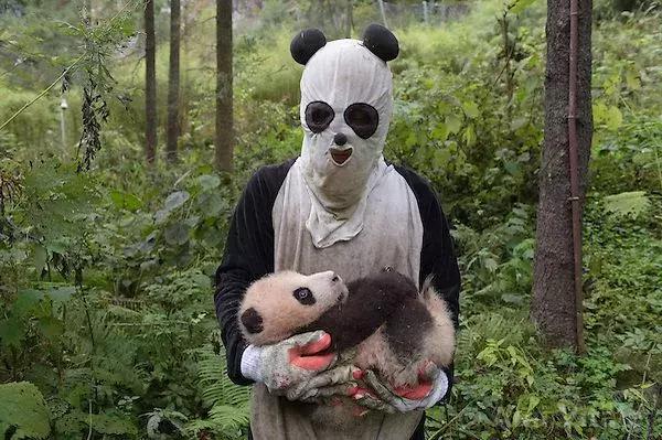 为了偷拍明星母子，她全身涂尿抹粪，却赢得了尊重！