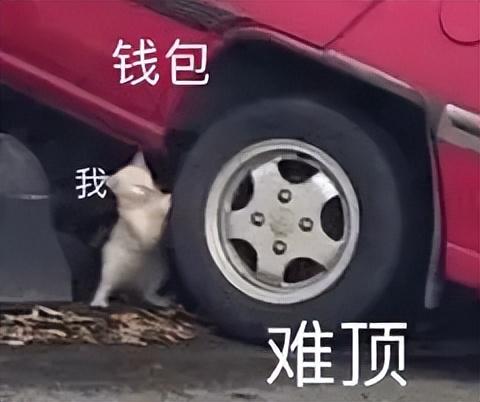 别等了，这就是今年最值得买的小屏旗舰