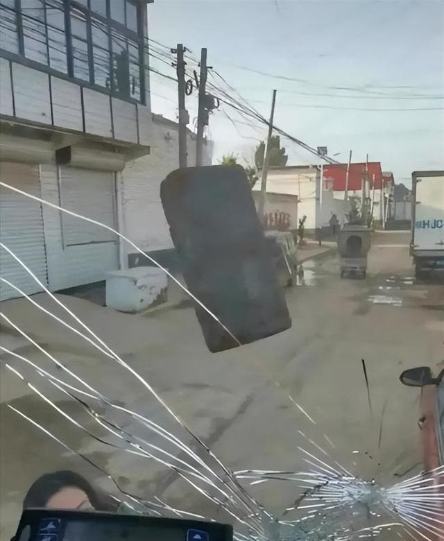 河北保定女子嫌冷藏车吵让司机关掉，遭拒后拿砖头砸车，这样的母老虎谁敢娶？