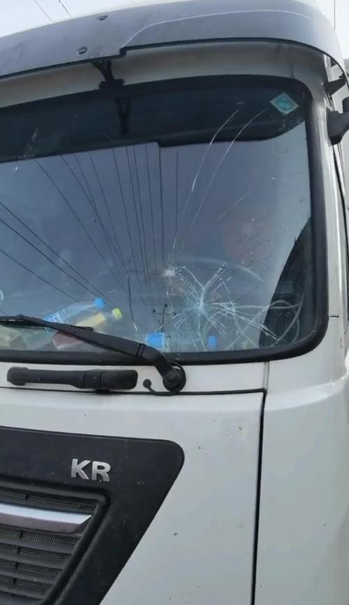 河北保定女子嫌冷藏车吵让司机关掉，遭拒后拿砖头砸车，这样的母老虎谁敢娶？