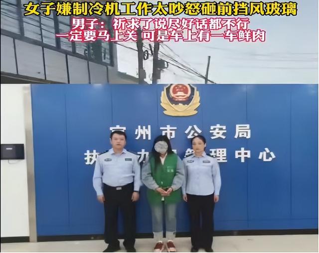 河北保定女子嫌冷藏车吵让司机关掉，遭拒后拿砖头砸车，这样的母老虎谁敢娶？