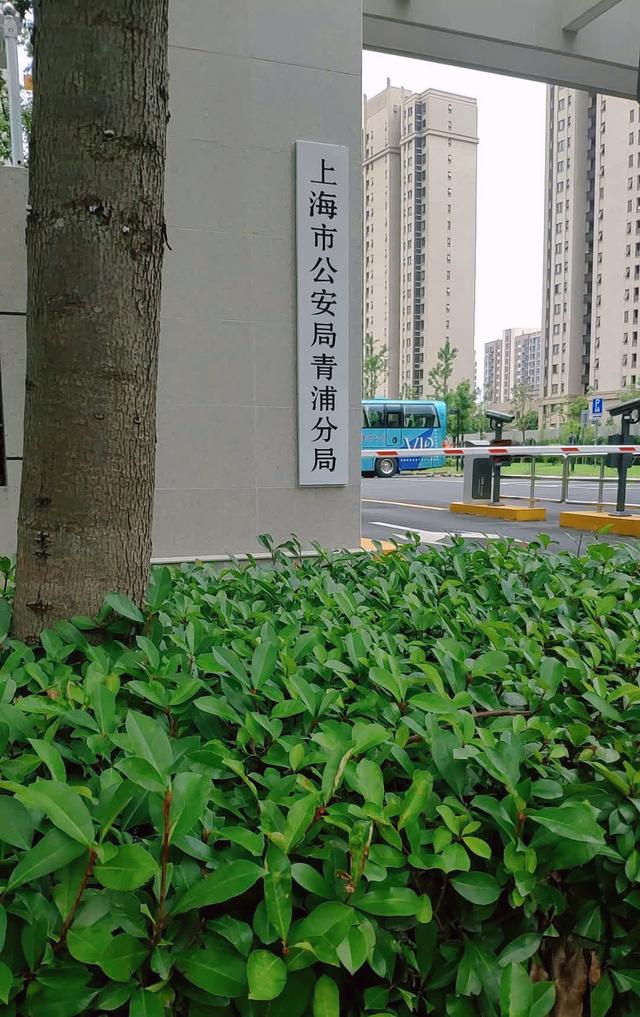 网传上海3名年轻女老师卖淫，细节不堪，警方回应，真相难以容忍