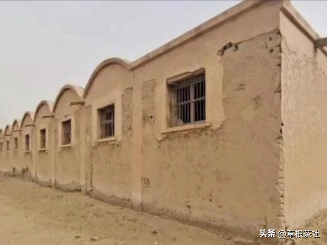 听她讲述在新疆的支边往事和情感经历：她说她的雅号叫上海鸭子