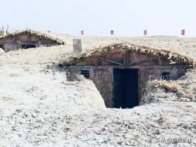 听她讲述在新疆的支边往事和情感经历：她说她的雅号叫上海鸭子