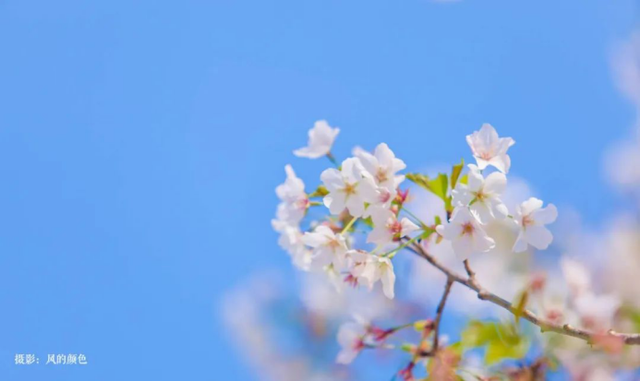 高清大图来袭!湖北高校“最美校花”新鲜出炉!颜值超高,惊艳众人!