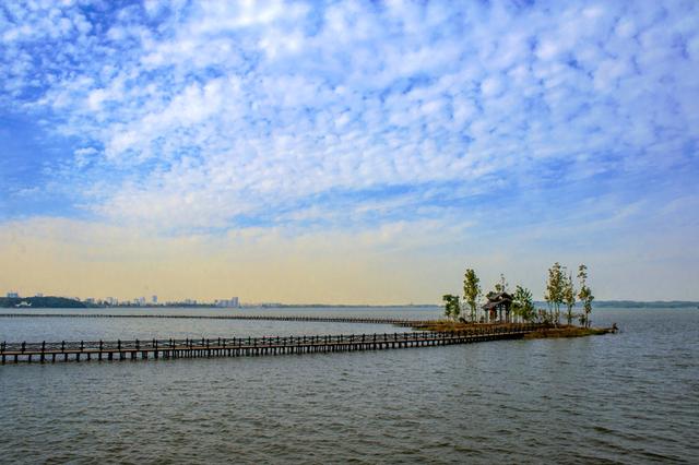 安徽池州：处处皆是“杏花村”