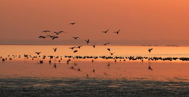 安徽池州：处处皆是“杏花村”