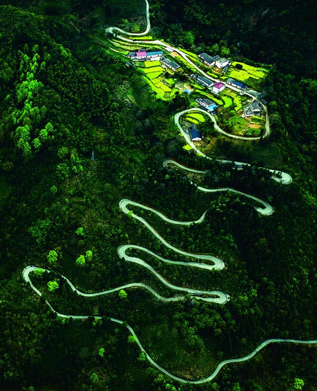 安徽池州：处处皆是“杏花村”