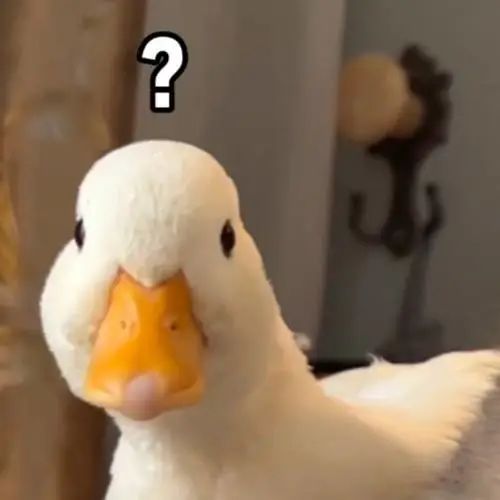 女幼师自曝给幼儿喂避孕药，扬言“从小化学阉割”，让他们变成废人