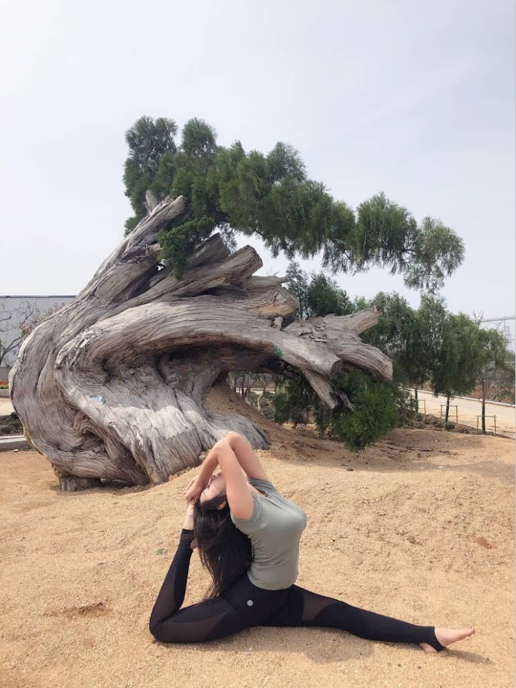 最新小厨娘美食记-抖Y百万粉丝网红微密圈私密视频完整版