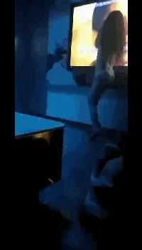 小姐姐们各种玩【最新国内暗黑KTV】真空露点裸体陪玩，只有你想不到的