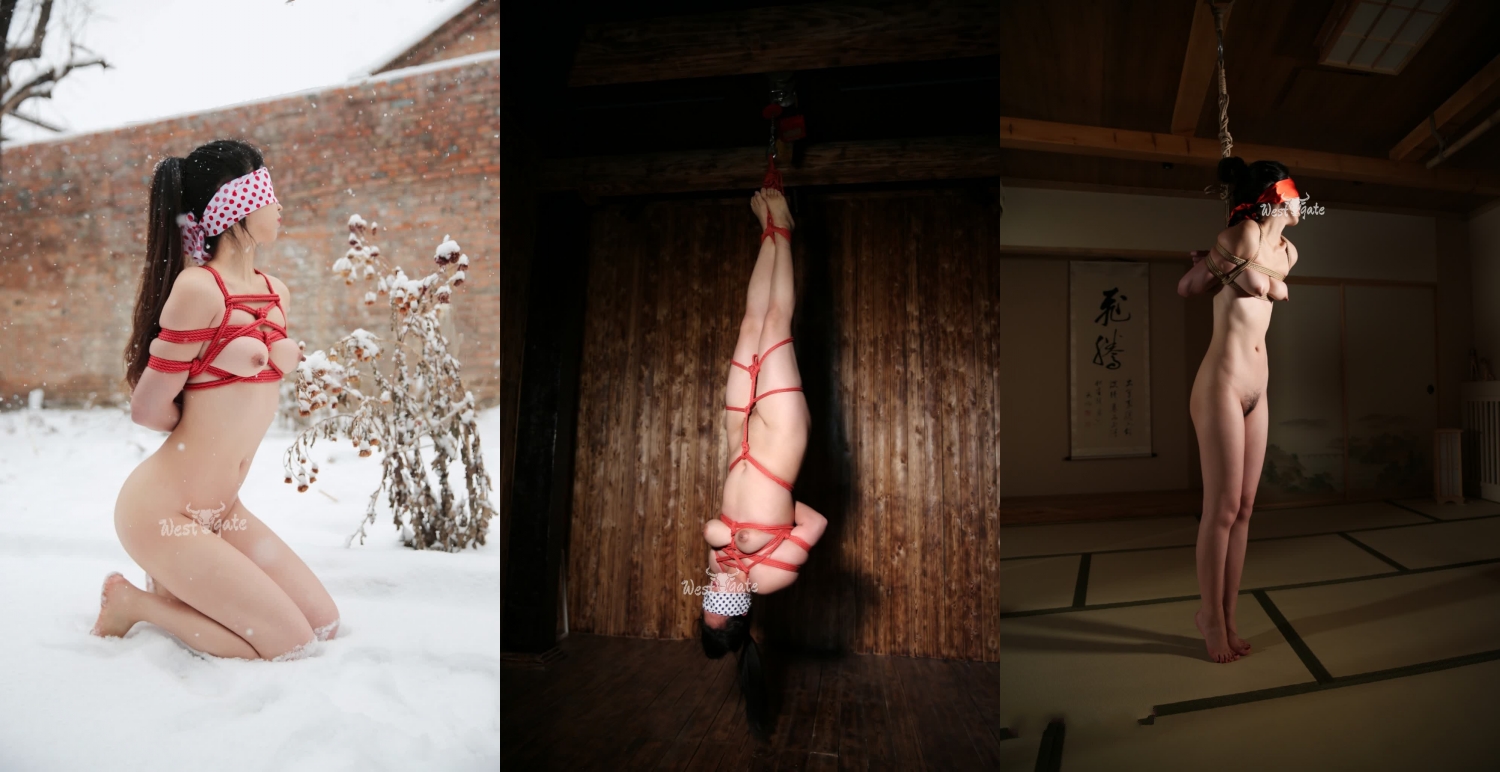 各种方式花样性虐SM调教性奴小贱人 不当人看